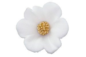 mercedes mały biały 010 20a'