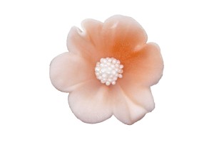 mercedes mały ecru 010 20a'