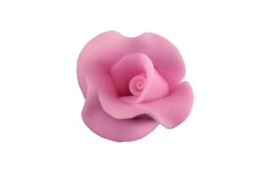 Róża duża fuksja 20a' 01