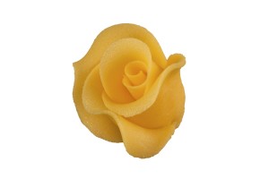 Róża duża herbaciana 20a' 01