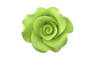 Róża L limonkowa 12a