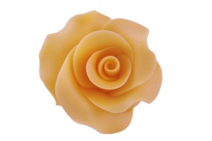 Róża L pomarańcz 12a