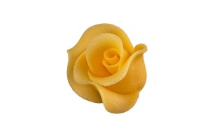 róża średnia herbaciana 20a' 02