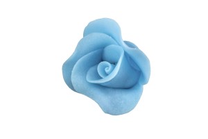 róża średnia niebieska 20a' 02