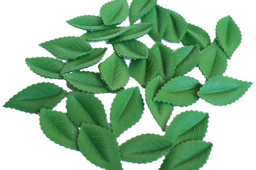 liście zielone 2.jpg