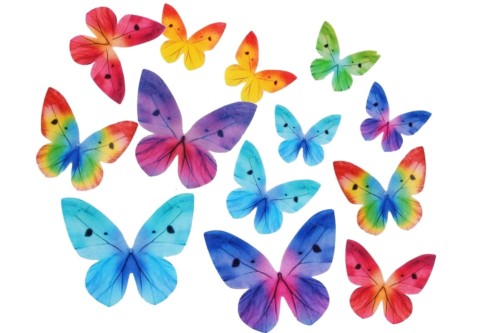 decor motyl tęczowy.jpg