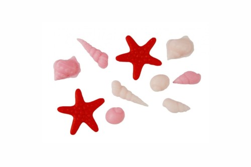 muszelki różowe.jpg