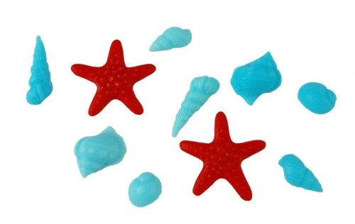 muszelki niebieski .jpg