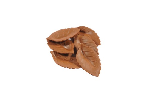 liśc opłatkowy brązowy 1.jpg